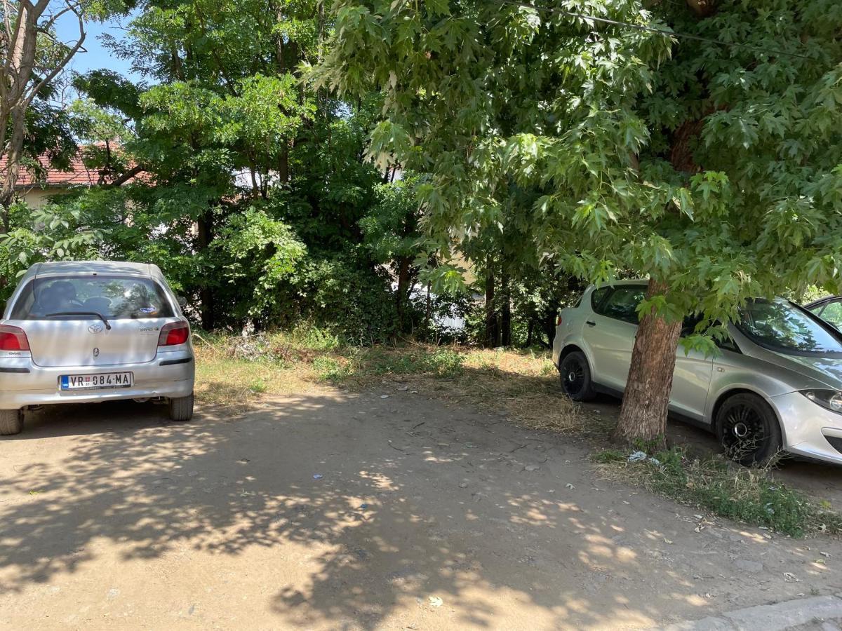 Bora Apartmani - Free Parking - City Center Vranje Exteriér fotografie